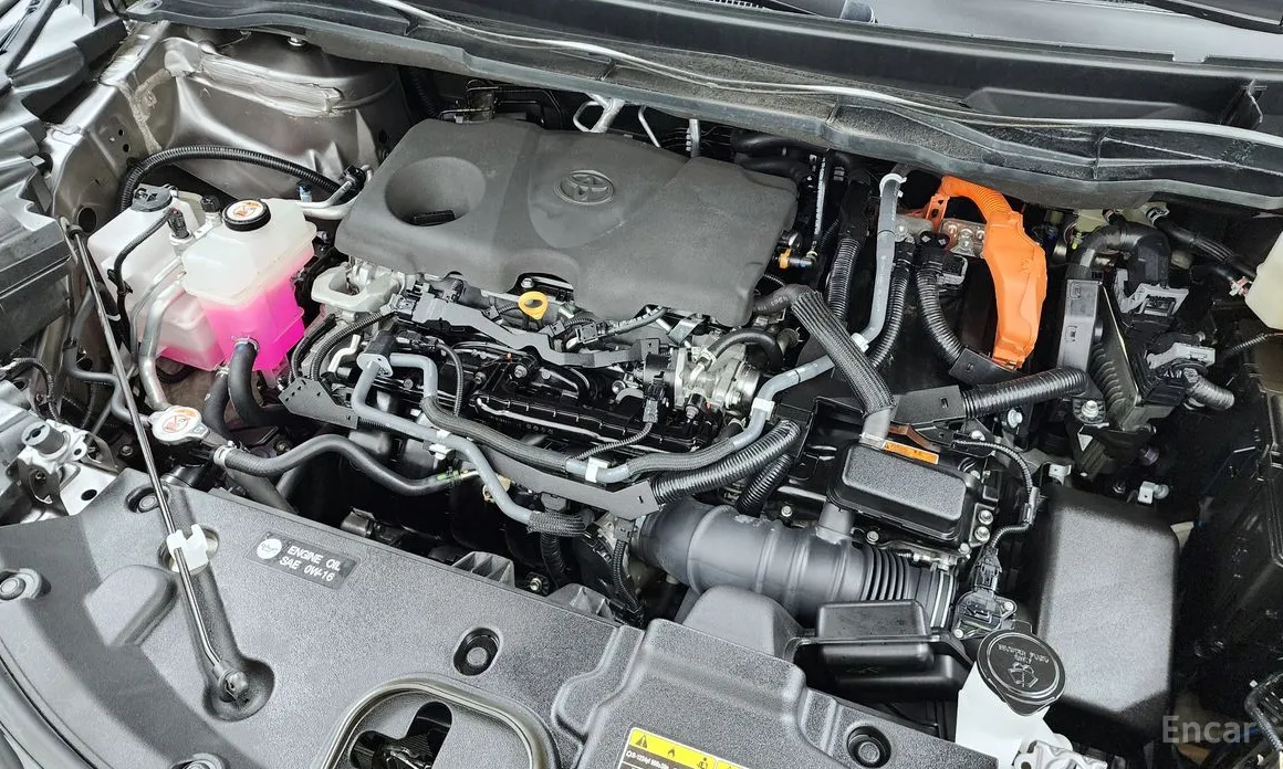 Фото 6 - Toyota Sienna