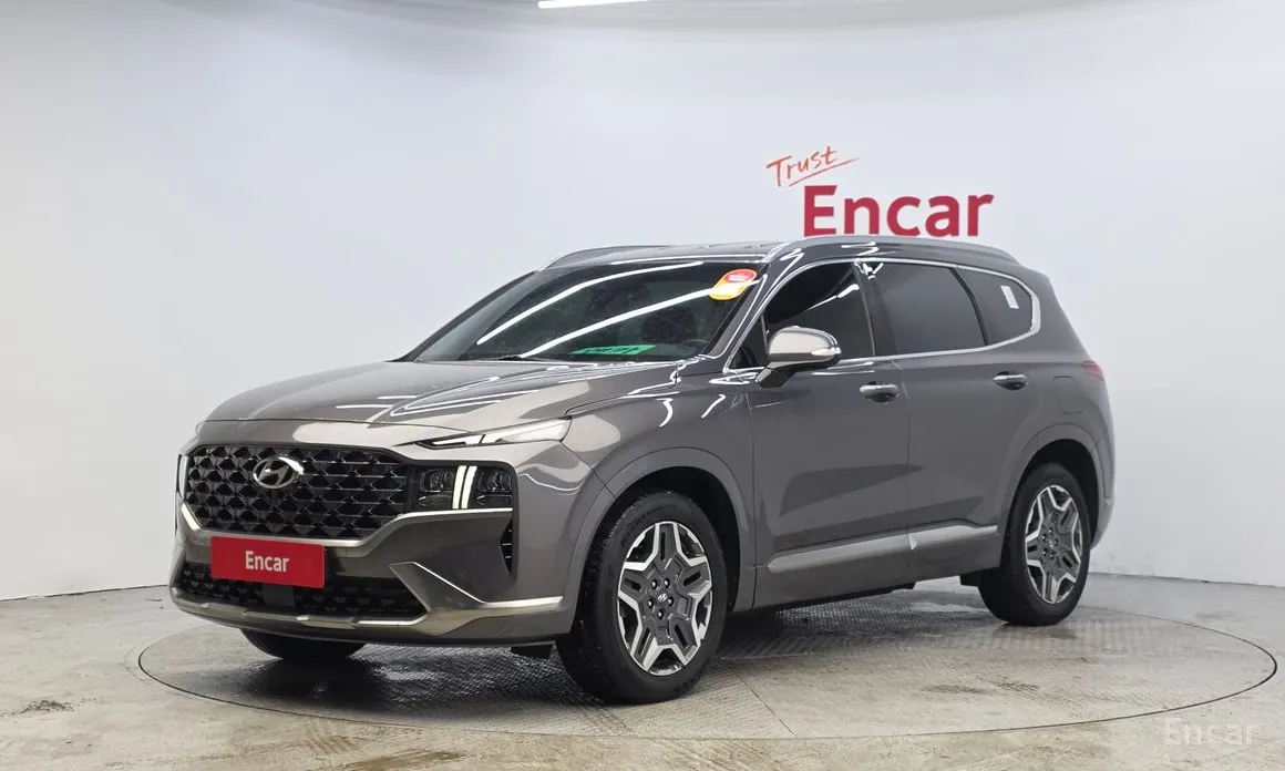 Фото 1 - Hyundai Santa Fe