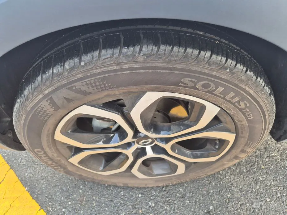 Фото 17 - Renault XM3