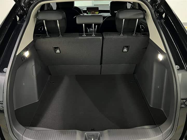 Фото 7 - Honda XR-V