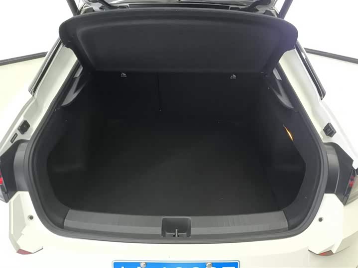 Фото 4 - Volkswagen Lamando L