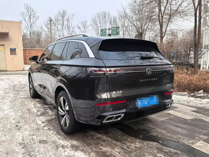 Фото 4 - Volkswagen Tavendor