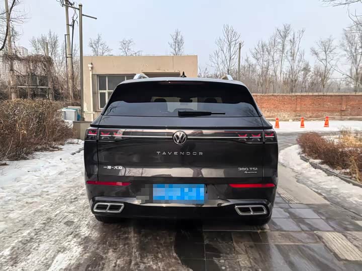 Фото 5 - Volkswagen Tavendor