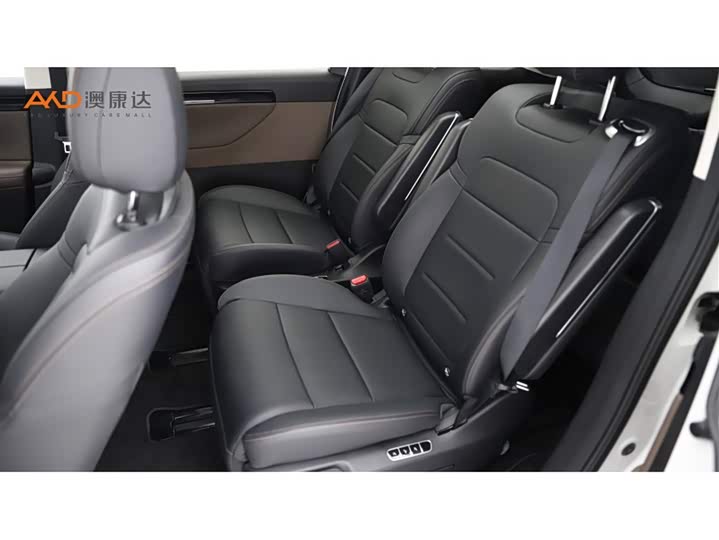 Фото 7 - GAC Trumpchi E8