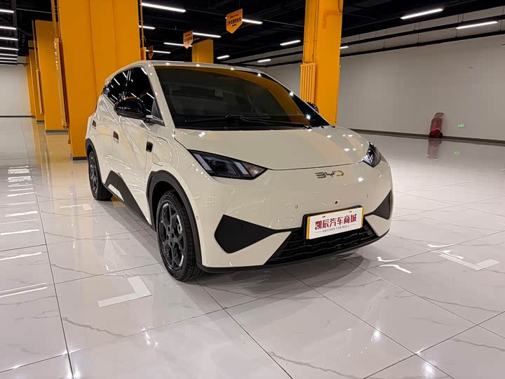 Фото 1 - BYD Seagull