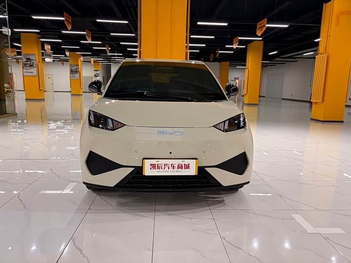 Фото 2 - BYD Seagull