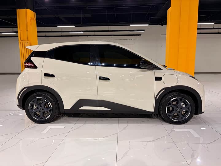 Фото 3 - BYD Seagull