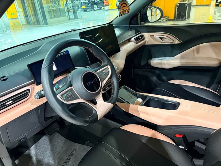 Фото 6 - BYD Seagull