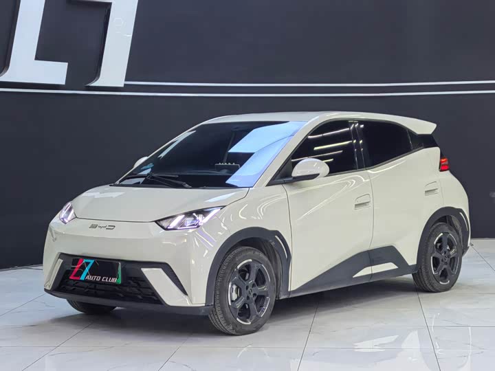 Фото 1 - BYD Seagull