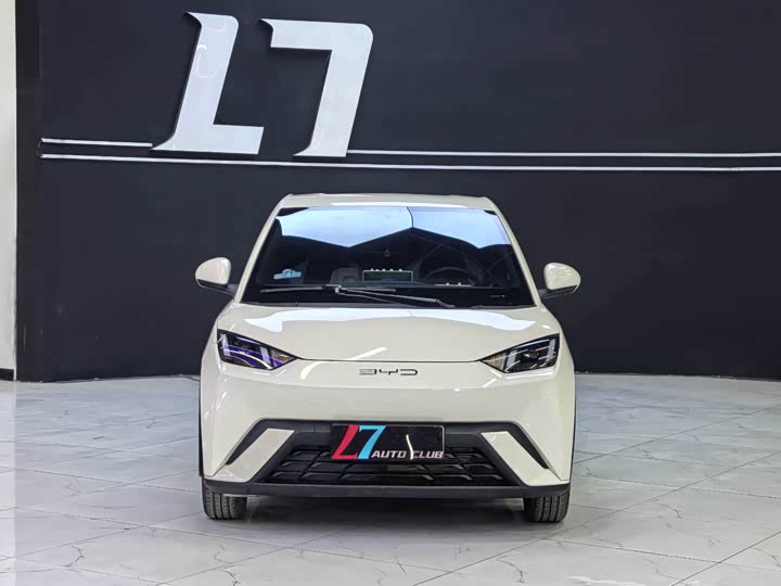 Фото 2 - BYD Seagull