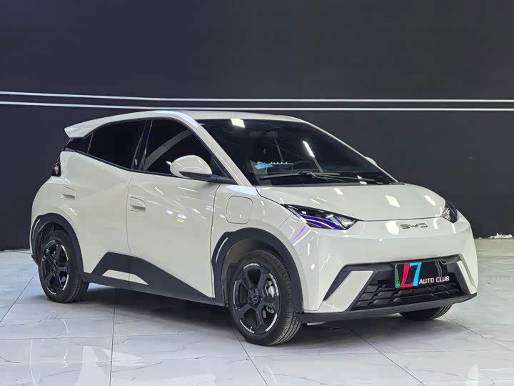 Фото 3 - BYD Seagull