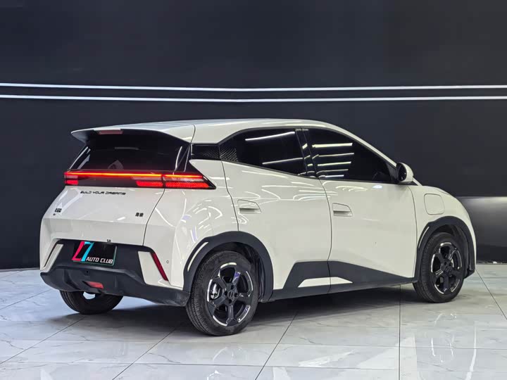 Фото 9 - BYD Seagull