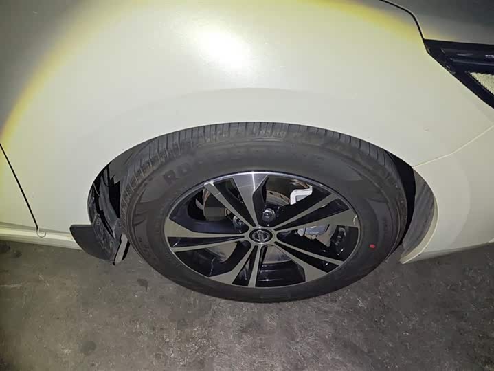 Фото 6 - Nissan Sylphy