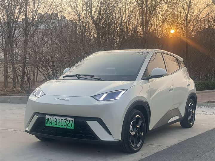 Фото 1 - BYD Seagull