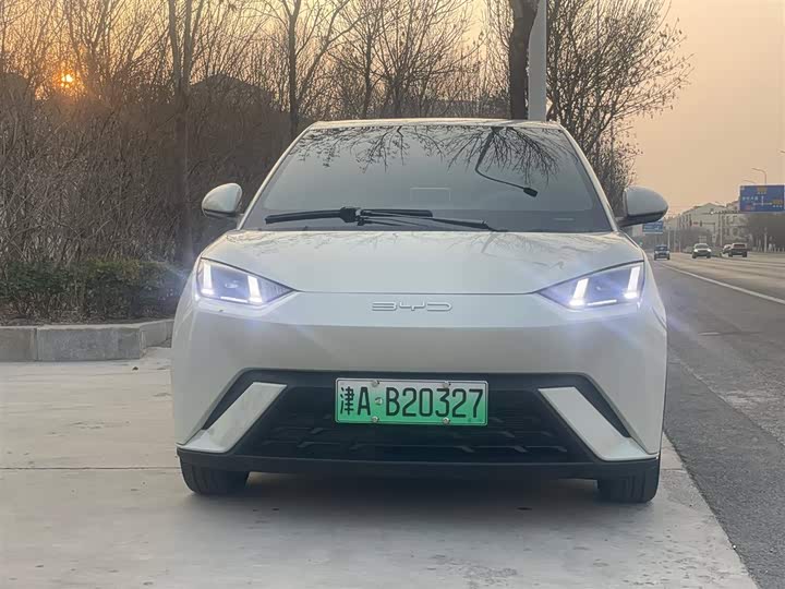 Фото 2 - BYD Seagull