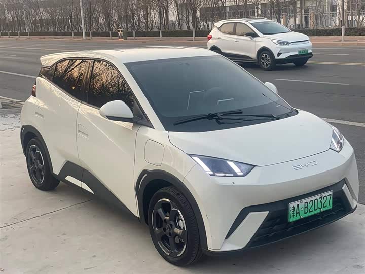 Фото 3 - BYD Seagull