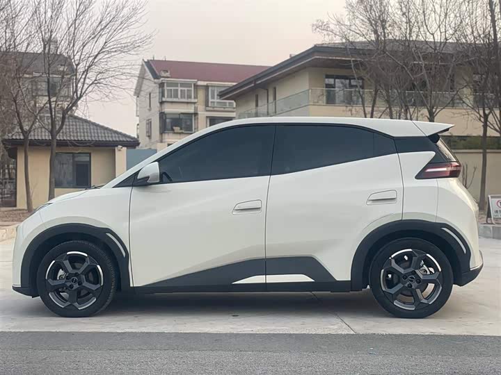 Фото 4 - BYD Seagull