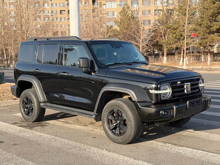 Фото 1 - Tank 300