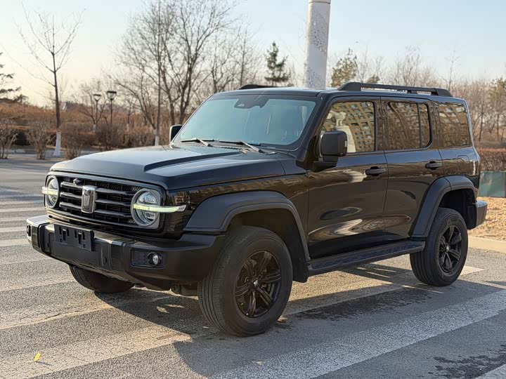 Фото 3 - Tank 300