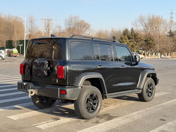 Фото 8 - Tank 300