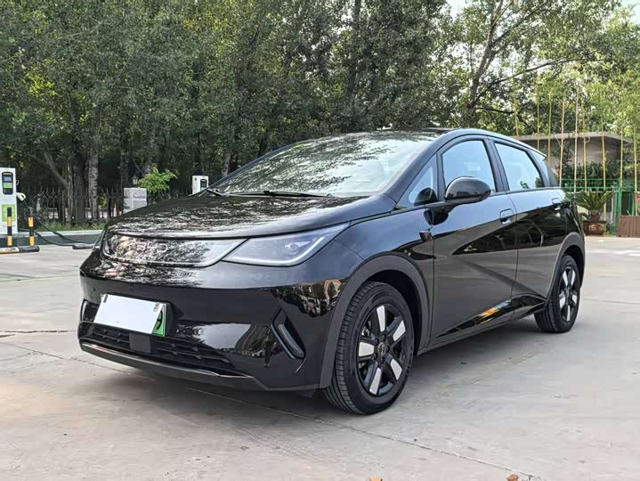 Фото 1 - BYD Dolphin