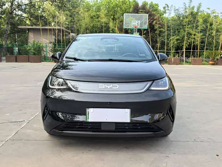 Фото 2 - BYD Dolphin