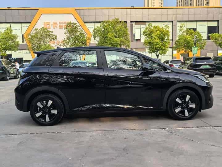 Фото 4 - BYD Dolphin