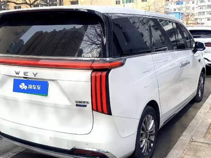 Фото 3 - Wey Gaoshan