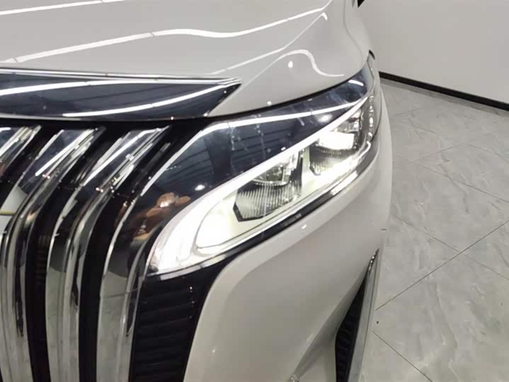 Фото 5 - Wey Gaoshan