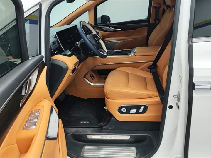 Фото 9 - Wey Gaoshan