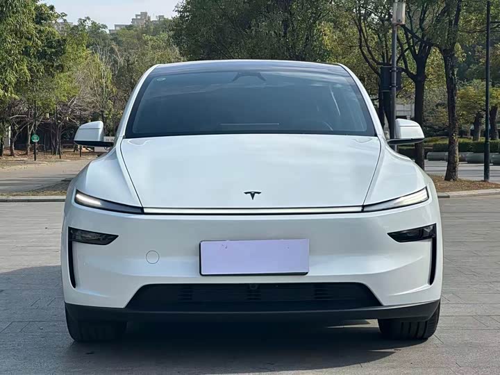 Фото 2 - Tesla Model Y