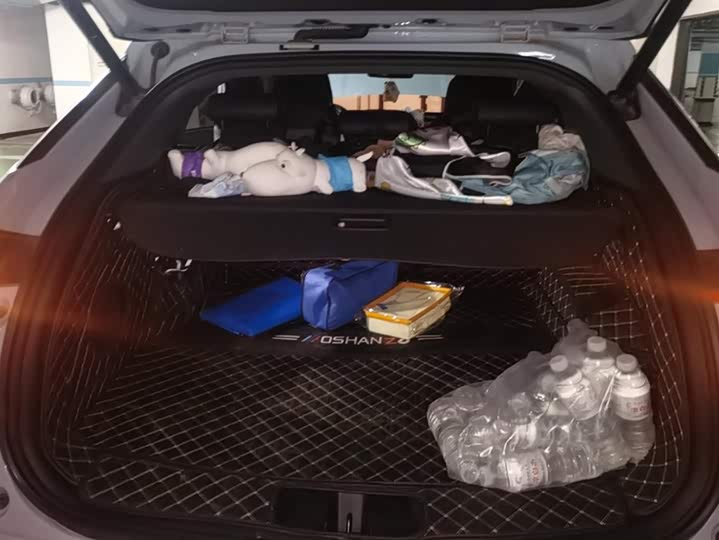 Фото 4 - Changan Oshan Z6 Hybrid