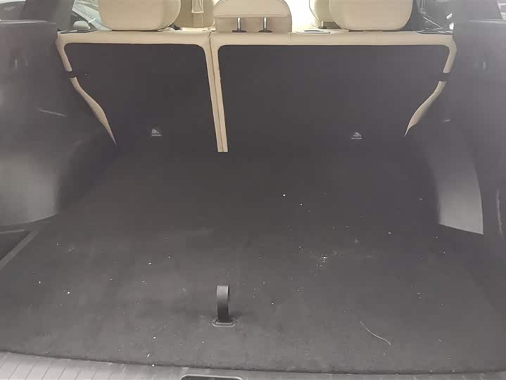 Photo 4 - Geely Monjaro