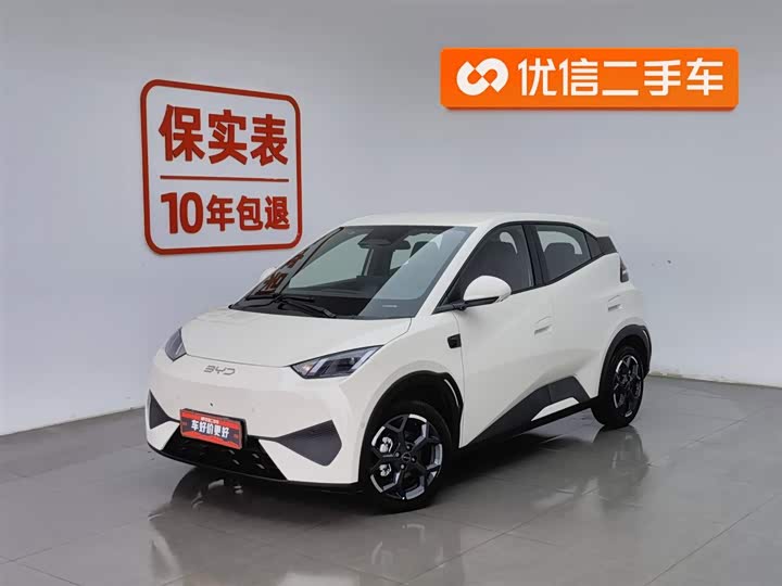 Фото 1 - BYD Seagull