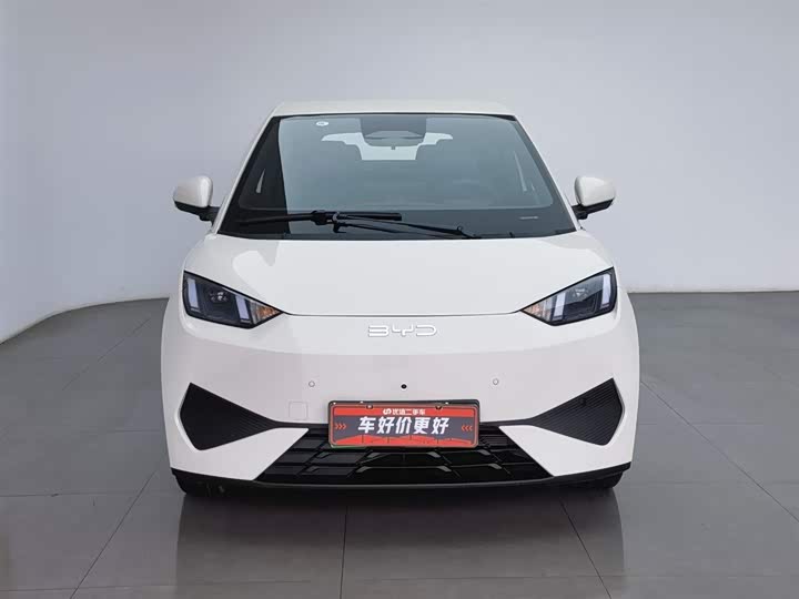 Фото 3 - BYD Seagull