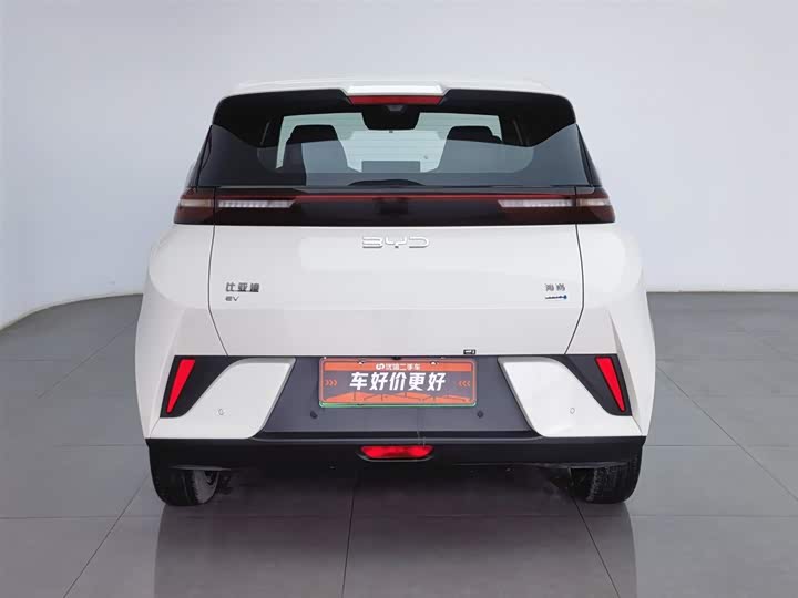 Фото 4 - BYD Seagull