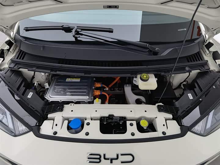 Фото 6 - BYD Seagull