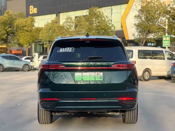 Фото 5 - Wey Lanshan