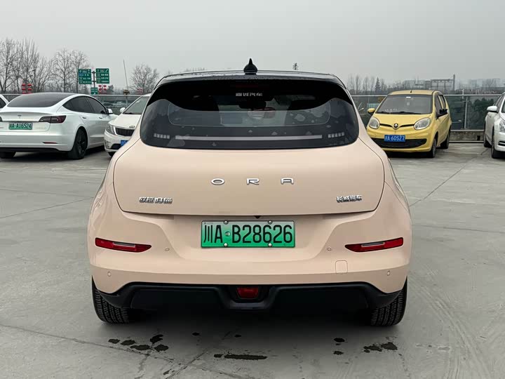 Фото 4 - Ora Good Cat (03)