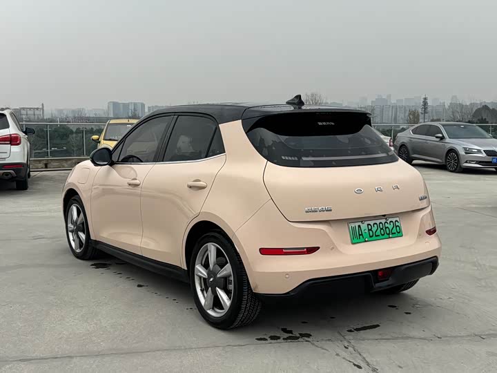 Фото 5 - Ora Good Cat (03)