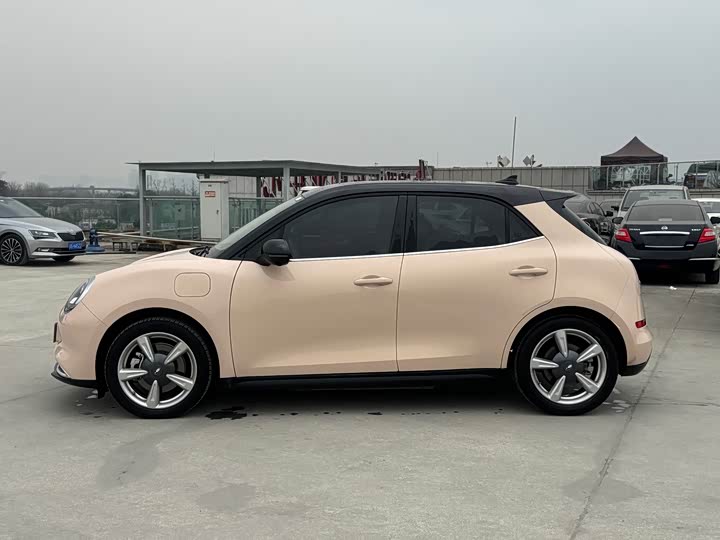 Фото 7 - Ora Good Cat (03)