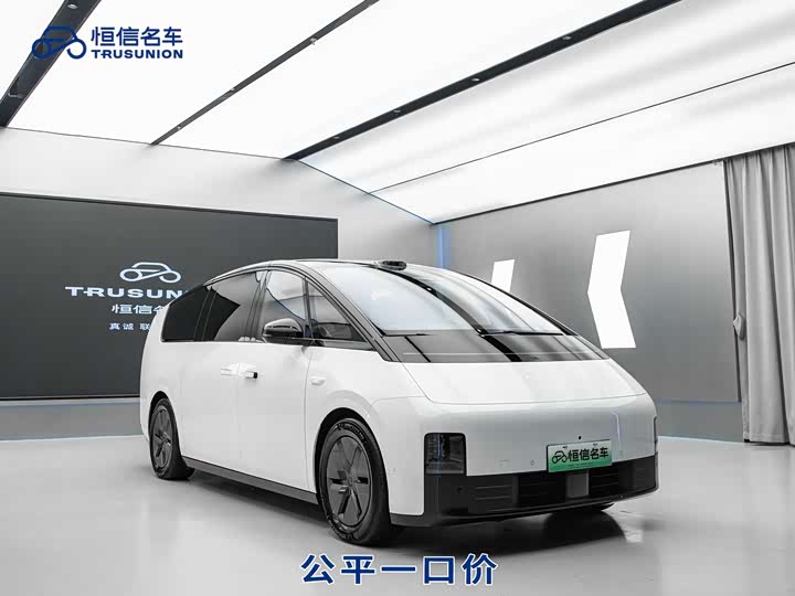 Фото 3 - LiXiang Mega