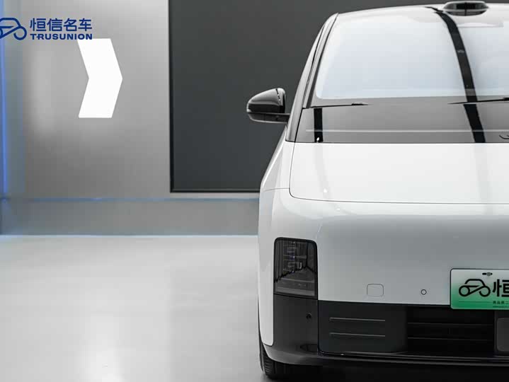 Фото 8 - LiXiang Mega