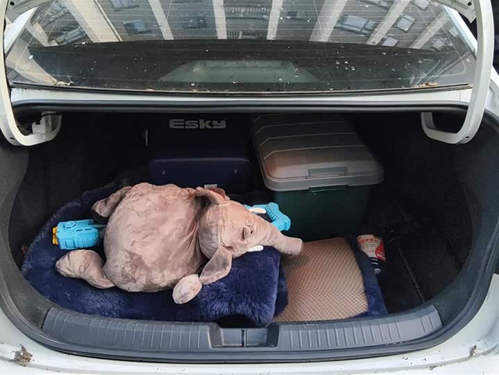 Фото 4 - Volkswagen Sagitar L