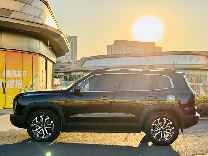 Фото 3 - Haval Dargo