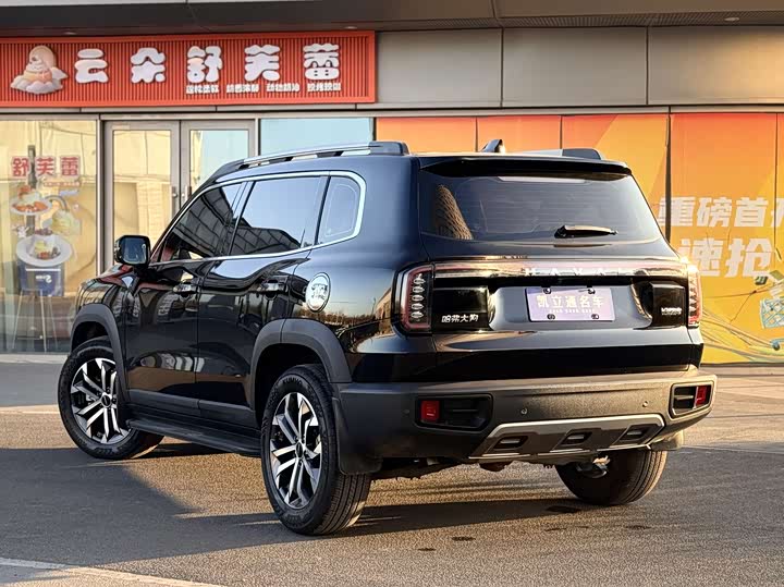 Фото 4 - Haval Dargo