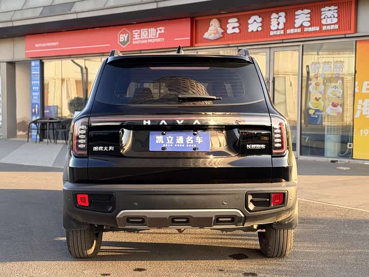 Фото 5 - Haval Dargo