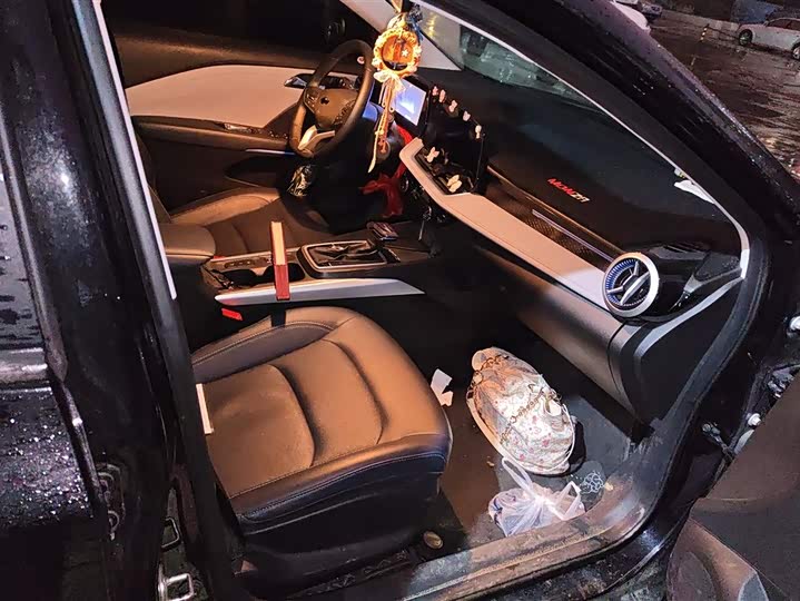 Фото 8 - Chevrolet Monza