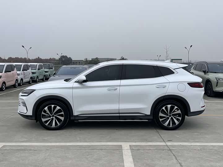 Фото 2 - BYD Song Plus Hybrid/EV