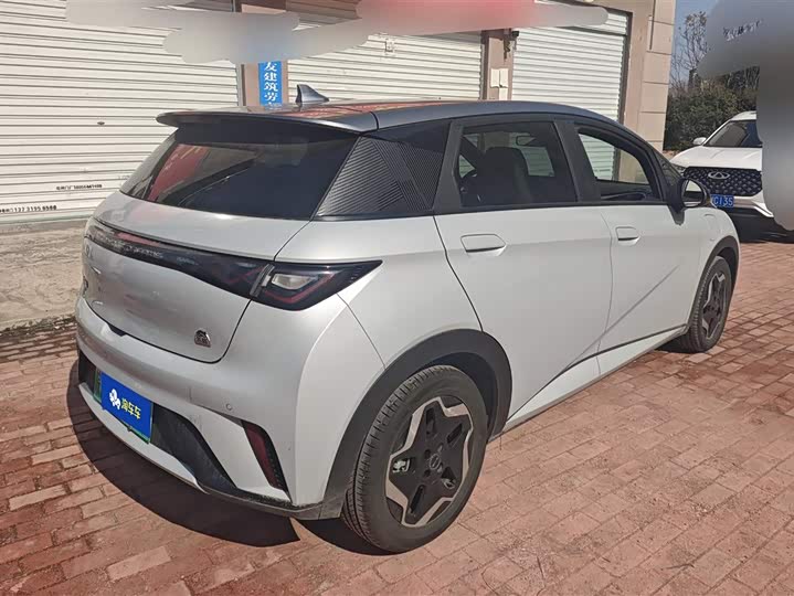 Фото 3 - BYD Dolphin